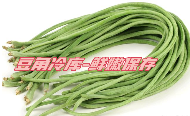 豆角工業(yè)冷庫(kù)：鮮嫩保存，一年四季供應(yīng)