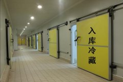 北京2000立方低溫冷庫設(shè)計(jì)安裝報價是多少
