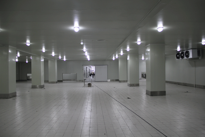 4000立方冷庫(kù)建造工程