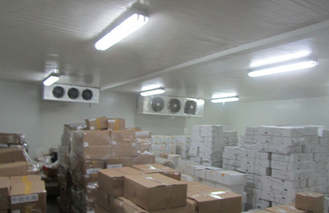 600平米-18℃~-25℃食品冷凍倉庫建造，低溫冷凍庫設(shè)計(jì)