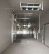 -25℃低溫海鮮魚肉加工廠冷凍庫安裝設計標準費用多少？